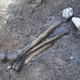 Human bones held down by two small stones.